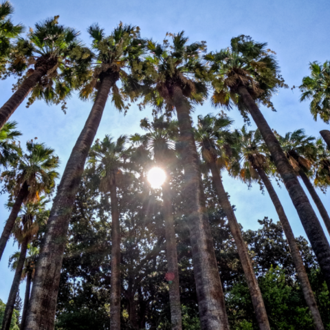 Ο καιρός αύριο, Παρασκευή 22 Σεπτεμβρίου