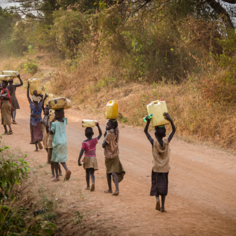 ΠΟΥ: Διπλάσια κρούσματα χολέρας το 2022