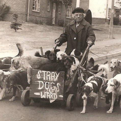 Kate Ward: Η γυναίκα που έσωσε πάνω από 600 ζώα στον Β' Παγκόσμιο Πόλεμο