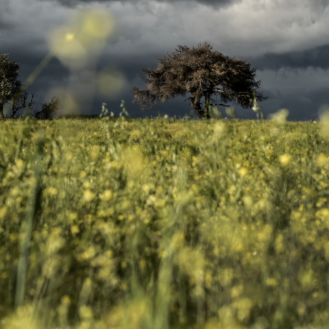 Κακοκαιρία - εξπρες την Κυριακή σε ορισμένες περιοχές - Πού θα κυμανθεί η θερμοκρασία