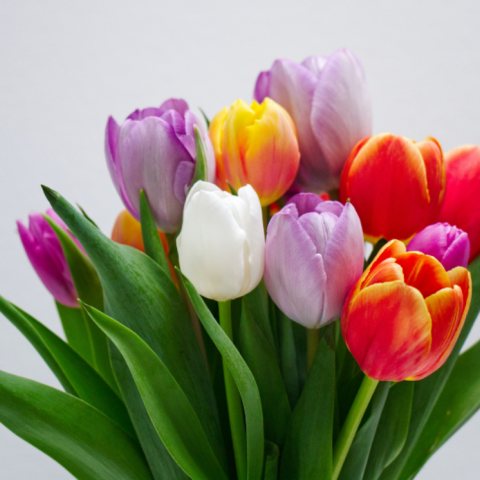 Εορτολόγιο: Σήμερα 30 Οκτωβρίου 2023 γιορτάζει…