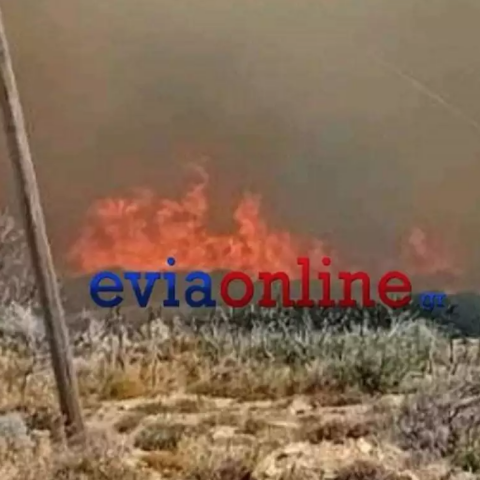 Φλόγες καίνε έκταση στην Κάρυστο