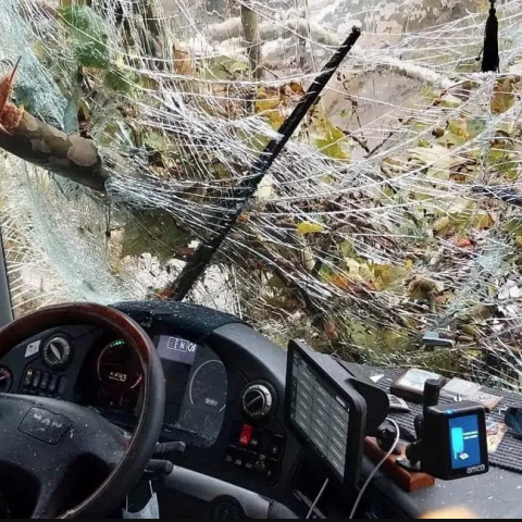 Κλαδί δέντρου καρφώθηκε λόγω της κακοκαιρίας σε παρμπρίζ λεωφορείου ενώ βρισκόταν εν κινήσει σε δρόμο της Ξάνθης