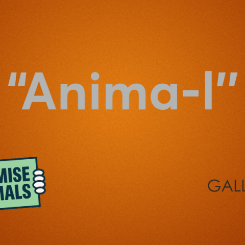 «Anima-I»: Η συμβολή των ζώων στην καλλιτεχνική πράξη