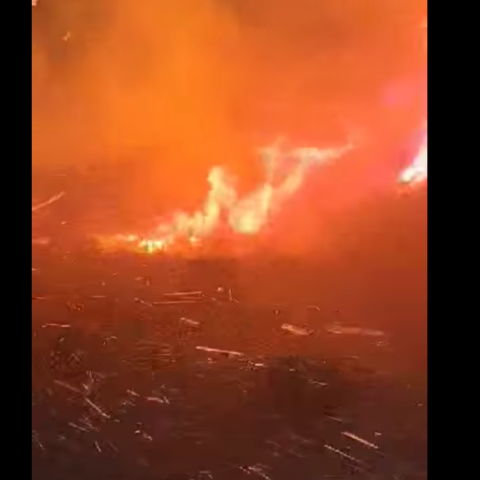 Φωτογραφία από τη φωτιά στην Κάστανο Χανίων