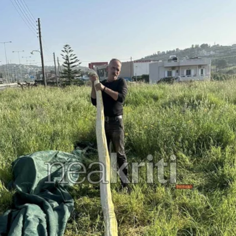 Άνδρας ποζάρει με τον νεκρό πύθωνα