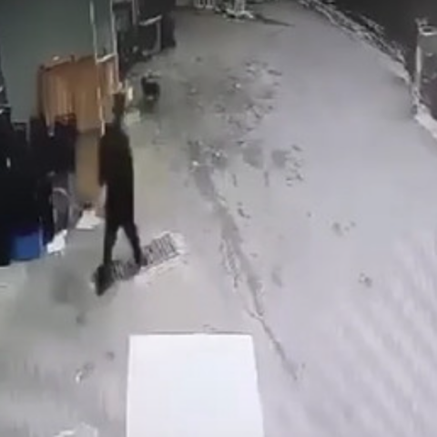 Ο πατέρας κρατά μέσα σε σακούλα σκουπιδιών το νεκρό βρέφος και το πετά στα σκουπίδια στη Βραυρώνα