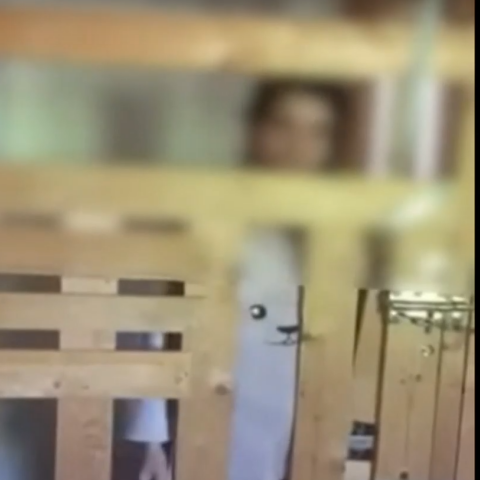 Η 29χρονη Μαριάννα ζει σε ξύλινο κλουβί