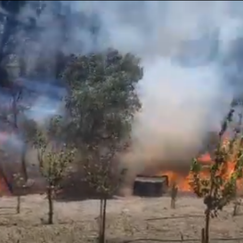 Φωτιά καίει σε χωράφι στην Κω