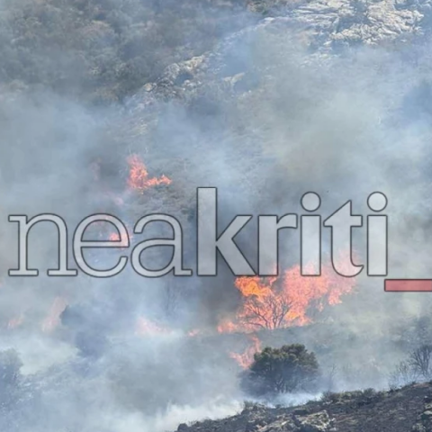 Φωτιά στο Ρέθυμνο: Συνεχίζεται η μάχη με τις φλόγες