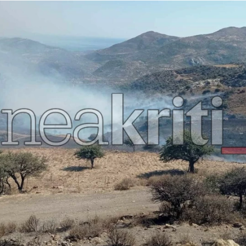 Φωτιά στο Ρέθυμνο