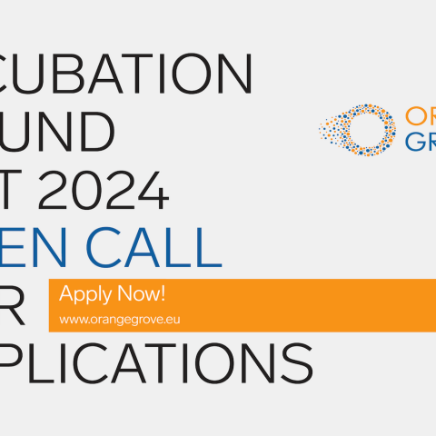 orangegrove_incubation_horizontal