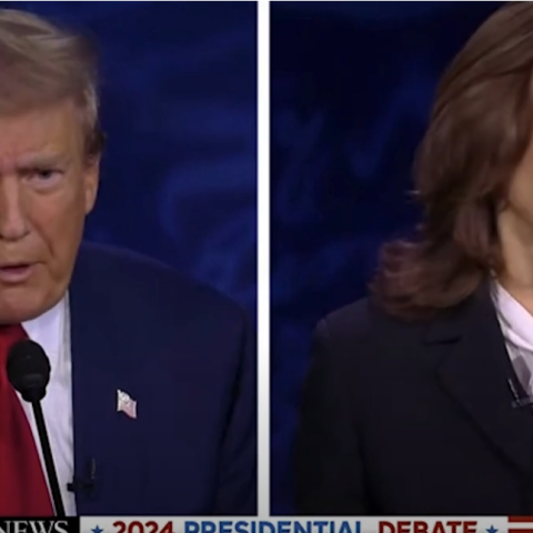 Η αντίδραση Χάρις όταν ο Τραμπ λέει ότι μετανάστες τρώνε κατοικίδια