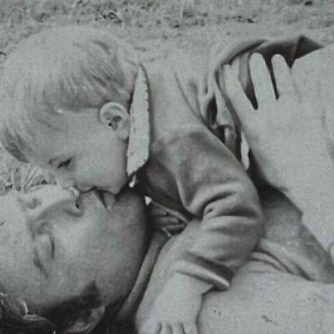 untitled_design__17_