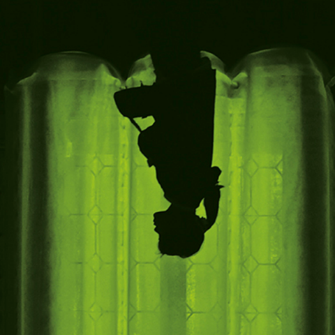 Alice Oswald: Πέφτοντας Ξύπνια