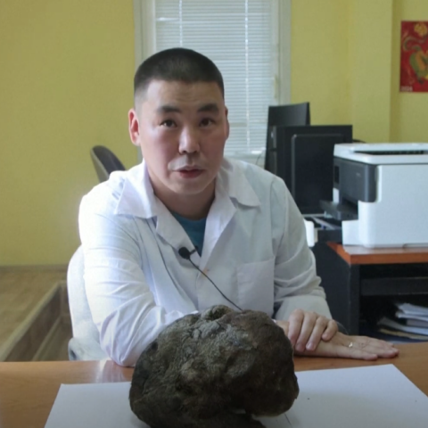 Μαχαιρόδοντας