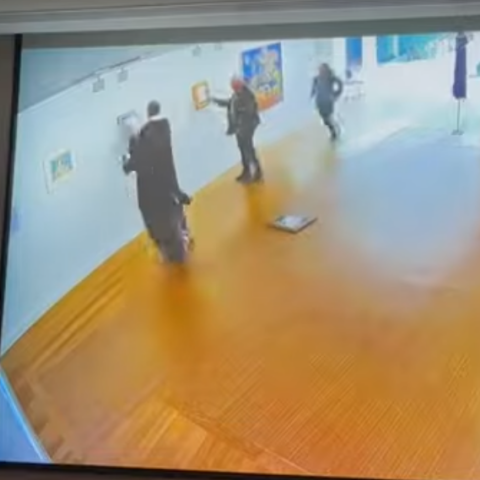 Εθνική Πινακοθήκη: Βίντεο ντοκουμέντο από τη στιγμή που ο Νίκος Παπαδόπουλος βανδαλίζει τα έργα τέχνης