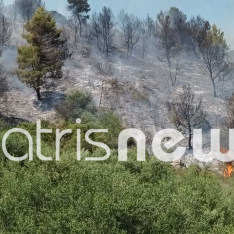 Οριοθετήθηκε η φωτιά στην Ηλεία