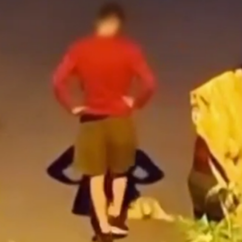 Θεσσαλονίκη: Ελεύθερος με περιοριστικούς όρους ο 34χρονος που κλώτσησε και πάτησε με ΙΧ γατάκι