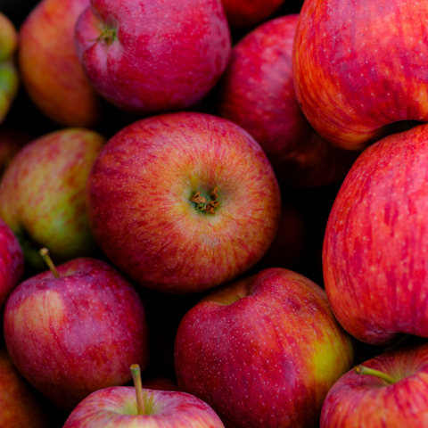 Γιατί οι Ινδοί επιστήμονες ψάχνουν απεγνωσμένα το τέλειο μήλο;