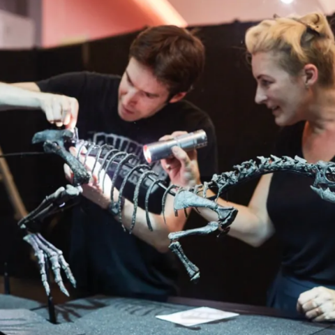 Νέο είδος δεινόσαυρου αποκαλύφθηκε στο Λονδίνο - Γιατί ο Enigmacursor μπέρδεψε τους επιστήμονες