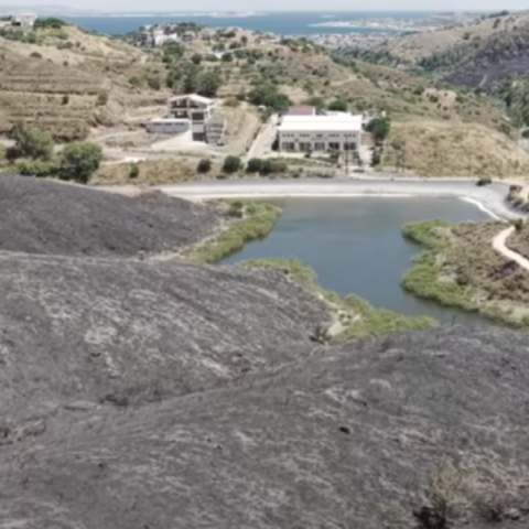 Φωτιά στη Χίο: Η επόμενη μέρα και το μέγεθος της καταστροφής - Εντοπίστηκε μπιτόνι με εύφλεκτο υγρό