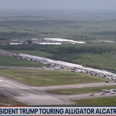 Αλκατράζ με αλιγάτορες: Περιτριγυρισμένο από επικίνδυνη πανίδα το νέο κέντρο κράτησης μεταναστών στις ΗΠΑ