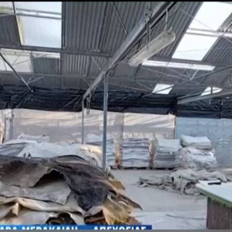 Κύκλωμα κοκαΐνη