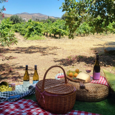 Πού θα κάνεις πικ νικ σε υπέροχο αμπελώνα πολύ κοντά στην Αθήνα;