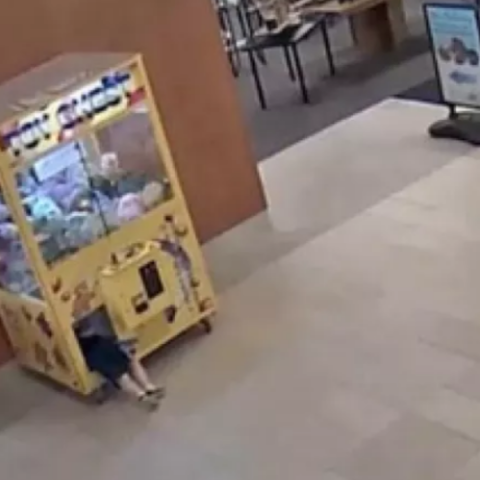 ΗΠΑ: Παιδάκι παγιδεύτηκε μέσα σε μηχάνημα δαγκάνας με λούτρινα ζώα - Πώς διασώθηκε 