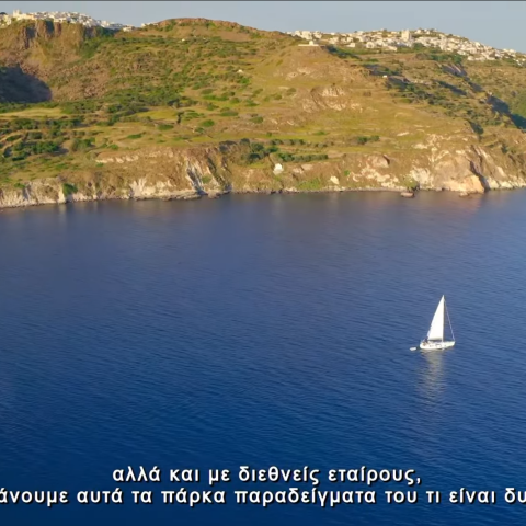 Explainer: Τι είναι τα Εθνικά Θαλάσσια Πάρκα και τι αλλάζει με τη θεσμοθέτησή τους