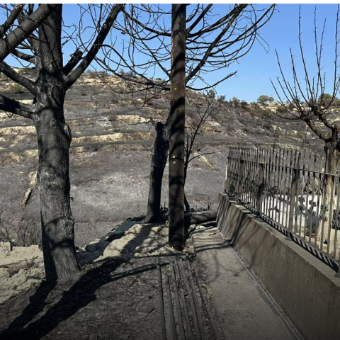 Φωτιά στη Λεμεσό