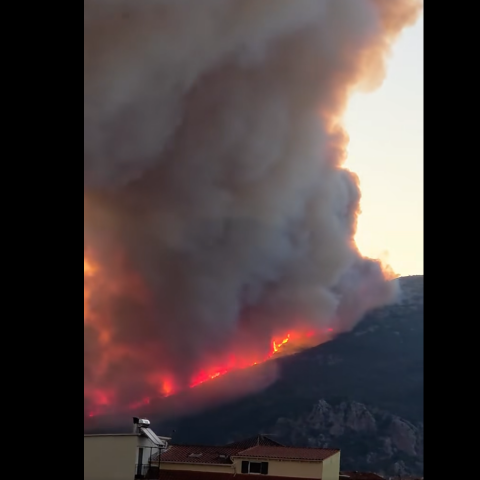 Φωτιά στη Βόνιτσα: Οι φλόγες κινούνται προς περιοχή με εγκαταστάσεις επιχειρήσεων, λέει ο δήμαρχος