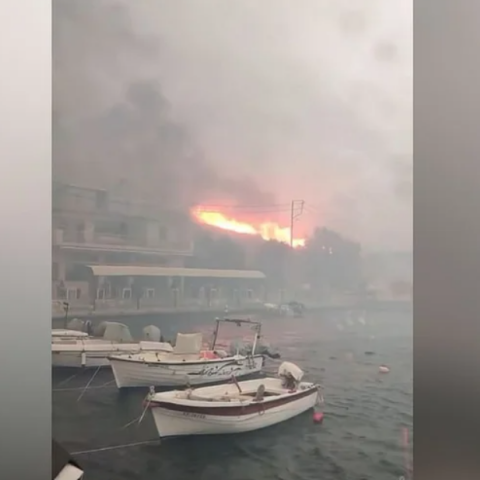 Φωτιά στη Χίο: 63 πολίτες απεγκλωβίστηκαν από παραλίες - Πλάνα από τις φλόγες που έφτασαν στην παραλία 