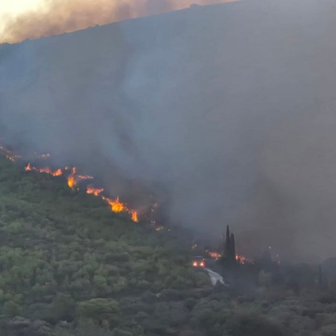Φωτιά τώρα στη Ζάκυνθο: Στο χωριό Αγαλάς κατευθύνεται το πύρινο μέτωπο - Μπαράζ μηνυμάτων από το 112