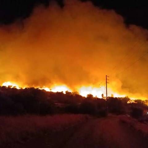 Φωτιά στα Μέγαρα