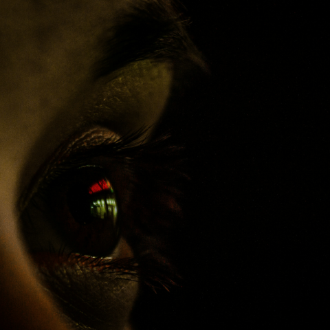 Θύμα παιδικής κακοποίησης ζήτησε από τον Έλον Μασκ να κατεβάσει από το X links με τις εικόνες της