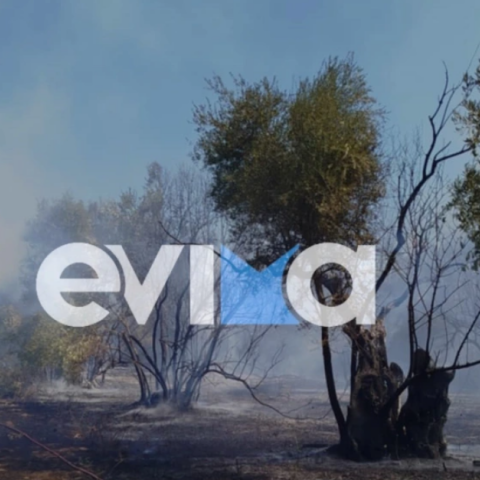 evoia