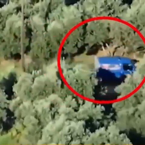 Βίντεο ντοκουμέντο από τη δράση της «κρητικής μαφίας» - Οι συναλλαγές σε ελαιώνες