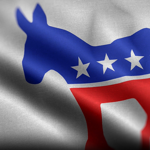 Το Δημοκρατικό κόμμα των ΗΠΑ μετά την ήττα του 2024