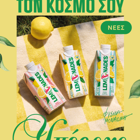 photo_αmita_lemonades