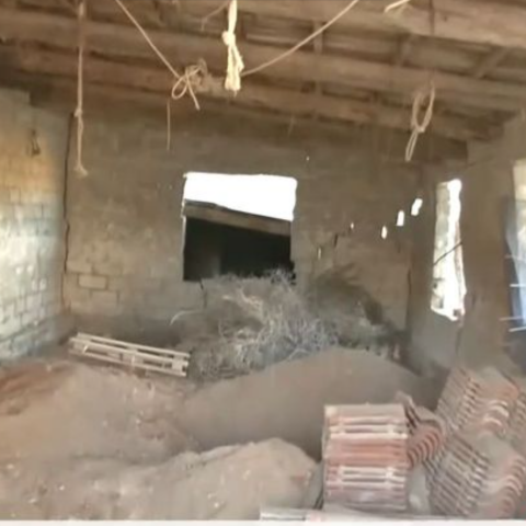 Βοιωτία: Διευθύντρια ΚΕΠ η γυναίκα που έθαψε τη μητέρα της σε στάβλο για να παίρνει τη σύνταξή της