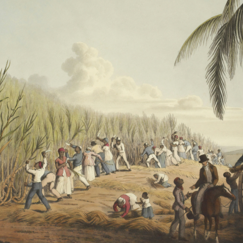 Επιστολές που βρέθηκαν στο eBay ρίχνουν φως σε βρετανικές οικογένειες που πλούτισαν από τη δουλεία