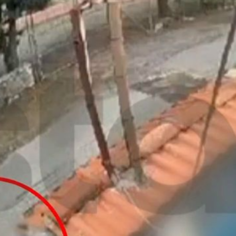 Στην εντατική ο 12χρονος από την Τρίπολη που τον μαχαίρωσε συμμαθητής του -Σοκάρει η αγριότητα στο βίντεο