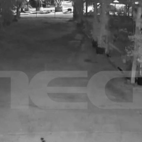 Φοινικούντα: Ηχητικό ντοκουμέντο για τη διπλή δολοφονία - Οι έξι βολές μέσα σε 11”