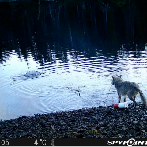 screenshot_2025-11-17_200209