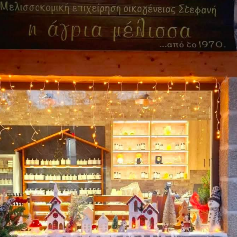 Άγρια μέλλισα