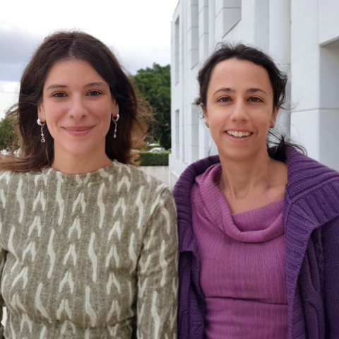 Ανθεκτικότητα σε εντομοκτόνα νέας γενιάς αναπτύσσουν ταχύτατα τα κουνούπια φορείς της ελονοσίας