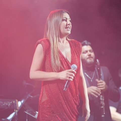 Έλενα Παπαρίζου: Παραμένει στο νοσοκομείο - Τι αναφέρουν οι νεότερες πληροφορίες για την υγεία της