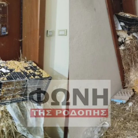 Κομοτηνή: Αγρότες έριξαν άχυρα και κοπριά έξω από το γραφείο του Ευριπίδη Στυλιανίδη